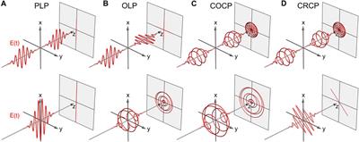 Multichromatic Polarization-Controlled Pulse Sequences for Coherent Control of Multiphoton Ionization